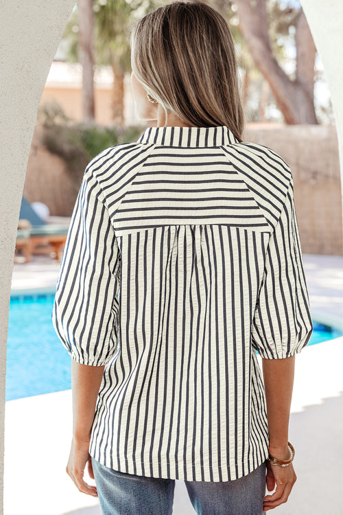 Blue Stripe Floral Embroidered Detail V Neck Short Sleeve Blouse
